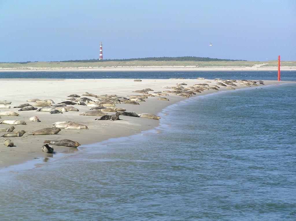 Sier Aan Zee Hostel Hollum  Exterior photo